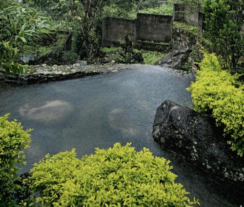 a pond with a rock in the middle of a garden at Munnar Bethel Varkis Heritage Resort in Munnar