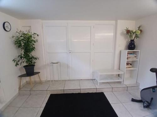 a white room with a potted plant on the wall at Hébergement Senlis in Senlis
