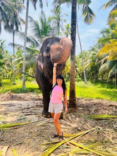 a girl is standing in front of an elephant at Ocean Pearl Cottage in Ahungalla