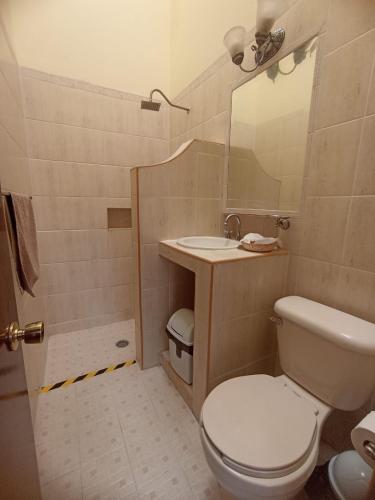 a bathroom with a toilet and a sink and a mirror at Casa Rosa Amelia in Guadalajara
