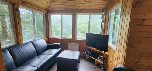 Televisyen dan/atau pusat hiburan di Serenity Tree house on the lake