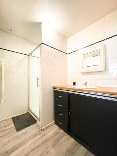 une salle de bain avec un lavabo et une douche dans l'établissement Le Réconfort' Ain, à Coligny