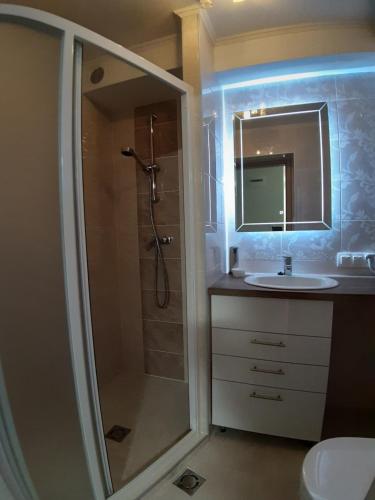 Kúpeľňa v ubytovaní Apartman Veiger 3