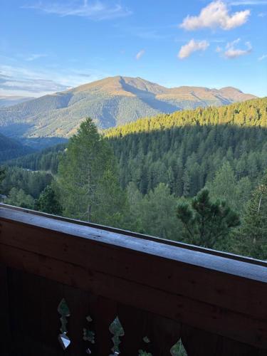 a view of auliculiculiculiculiculiculiculiculiculiculiculic at Karbergsuite Turrach in Turracher Hohe