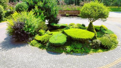 a garden with lots of green plants and a bench at Zajazd u Hermanów in Olsztyn