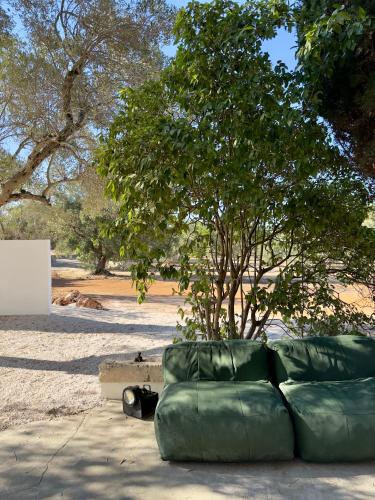 Un jardín fuera de casanu