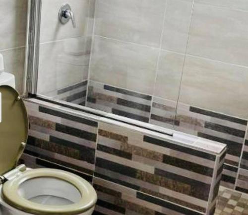a bathroom with a toilet and a shower at Luxury Suites at The Square Duplex Townhouse in Springfield