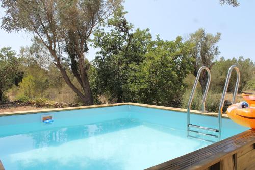 Villa Can Cardona - Green&Blue Ibiza photo 3