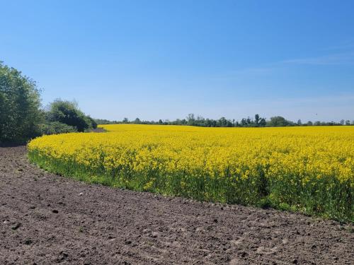 Naturlandskap nära lägenheten