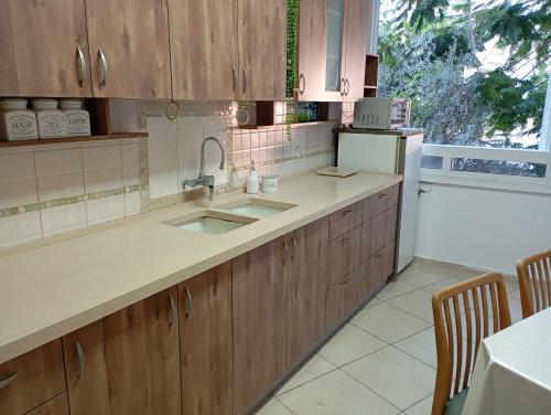 佩塔提克瓦בין העצים的厨房配有木质橱柜、水槽和窗户