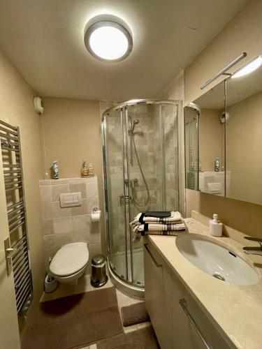 une salle de bain avec une douche, un lavabo et des toilettes dans l'établissement Superbe appartement en bord de mer, près du centre et des plages, à Menton