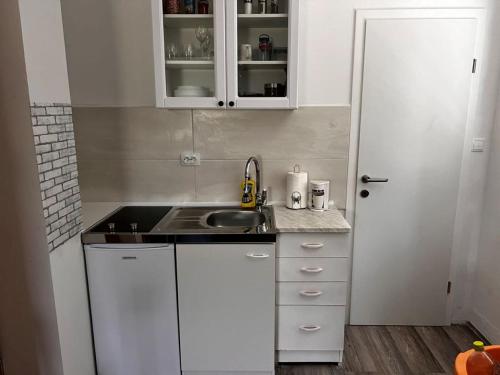 Kuchyň nebo kuchyňský kout v ubytování Apartman Borna