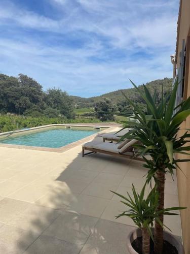 une piscine avec un canapé et un palmier sur une terrasse dans l'établissement Small vineyard in Provence, au Thoronet
