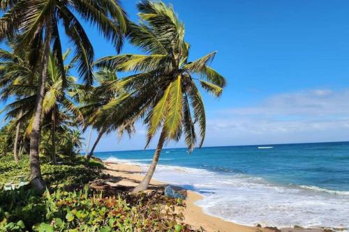 Una playa con dos palmeras y el océano. en White Paradise Seaside Haven Relax and Unwind, en Vega Baja