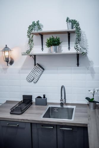 Kuchyň nebo kuchyňský kout v ubytování Apartman SCALA