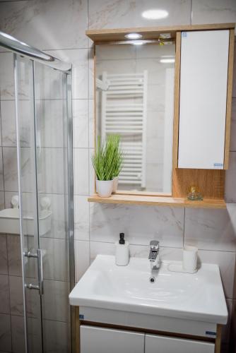 Koupelna v ubytování Apartman SCALA