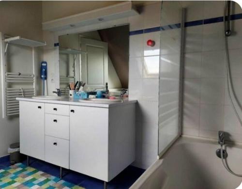 La cuisine est équipée d'une douche, d'un lavabo et d'une baignoire. dans l'établissement Villa bord de mer, à Fouesnant