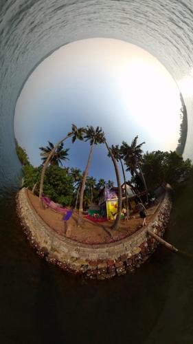 a tunnel with palm trees on a island in the water at SANTA MARIA HOSTEL MUNROE ISLAND in Munroe Island