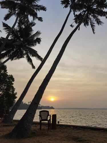 a chair sitting under two palm trees on the beach at SANTA MARIA HOSTEL MUNROE ISLAND in Munroe Island