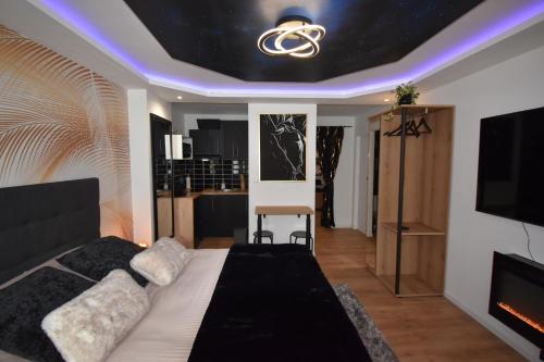 a bedroom with a bed and a tv and a ceiling at Suite Luxe Balnéo & Sauna coeur du Havre, exterieur prive in Le Havre