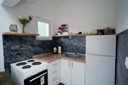 a small kitchen with a stove and a sink at Villa Počitelj in Čapljina