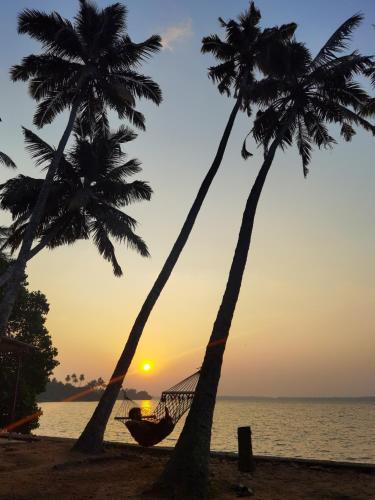 two palm trees and a hammock on the beach at sunset at SANTA MARIA HOSTEL MUNROE ISLAND in Munroe Island