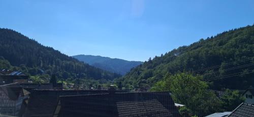 a view of a valley with mountains in the background at Ferienwohnung Casa Carina - Lautenbach in Gernsbach