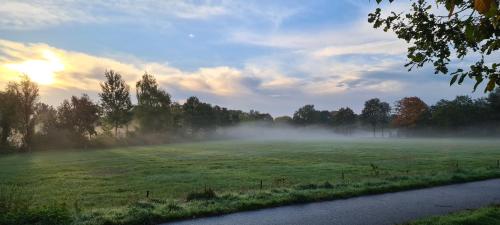 a foggy field with the sun in the background at B&B De Vretberg in Enschede