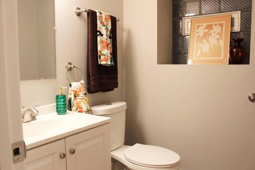 a bathroom with a toilet and a sink and a mirror at BOUTIQUE GARDEN HOUSE CHICAGO 3-STORY sleeps 12 in Chicago