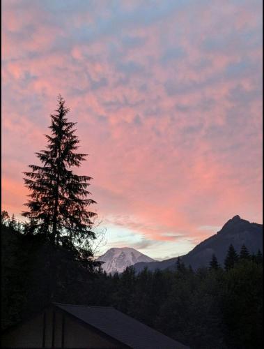 a sunset with a pine tree and a mountain at Bugling Elk Bungalow in Packwood