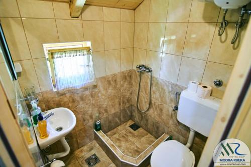 a bathroom with a shower and a sink and a toilet at Rafting Camp Modra Rijeka in Šćepan-Polje