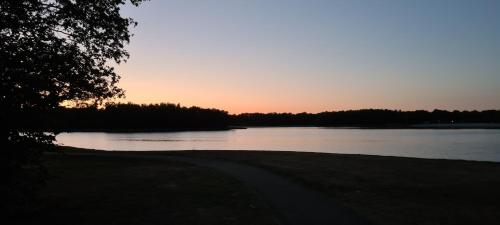 a sunset over a body of water with a tree at B&B De Vretberg in Enschede