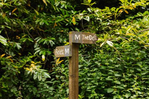 Φωτογραφία από το άλμπουμ του Madeira In Fife σε Pittenweem
