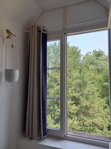 une fenêtre avec un oiseau assis au-dessus dans l'établissement Les Vues de Lily - Dijon, à Dijon