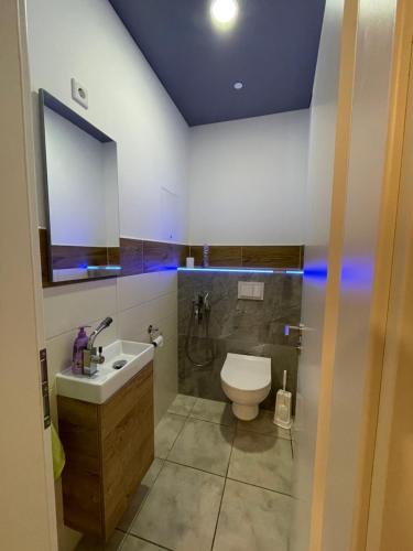 a bathroom with a toilet and a sink at Stumpf Verpachtung Gbr in Treuchtlingen