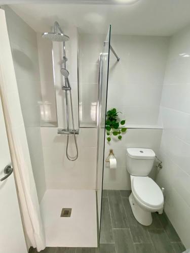 a white bathroom with a shower and a toilet at Casa Rural La Yeguada in Malcocinado