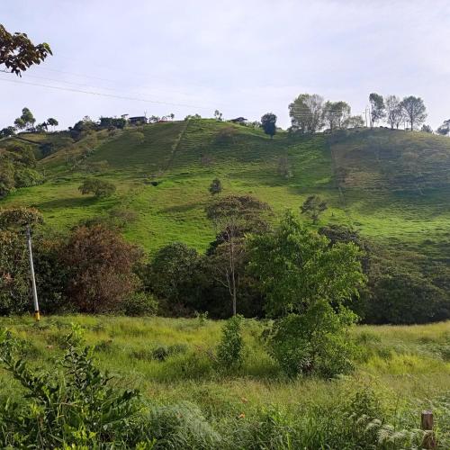 Paisaje cerca of this country house