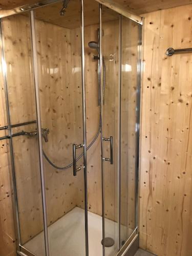 a shower in a room with wooden walls at Staldenhaus Riggisalp in Plaffeien