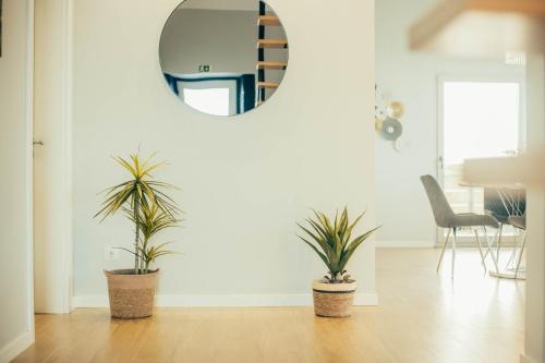 two plants in a living room with a mirror at Nascer Do Sol Retreat Villa in Conceição