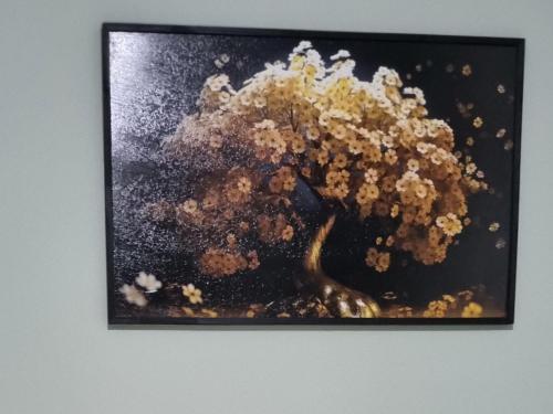 Gallery image of Aconchego do Lar Hostel in Palhoça
