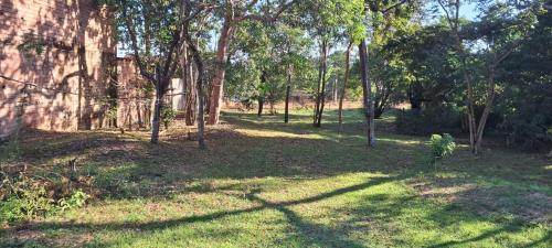 a field of grass with trees and shadows on it at Casa de Praia Pindobal in Santarém