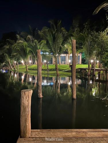 a group of palm trees in the water at night at ธีริน ธารา - ที่พักริมแม่น้ำแควใหญ่ (TRIRIN TARA) in Ban Tha Pong (1)