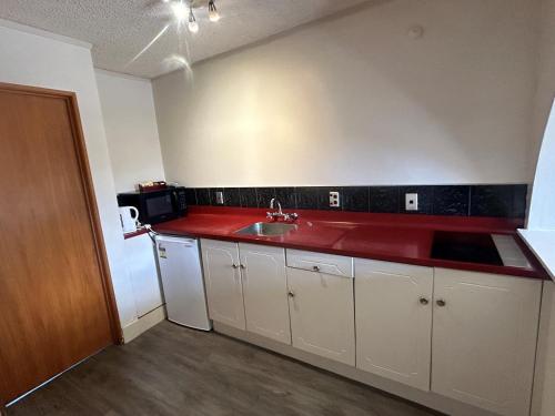 Kuchyň nebo kuchyňský kout v ubytování Aquarius Motor Inn