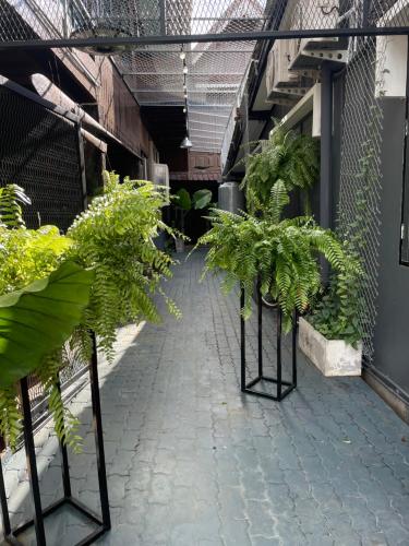 Φωτογραφία από το άλμπουμ του No5 Hostel Songkhla σε Songkhla