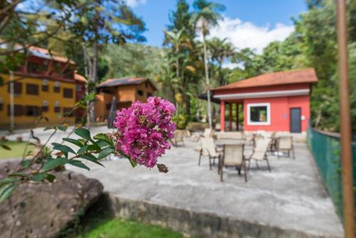 a purple flower is in front of a patio at Hotel Vila Suíça 1818 in Nova Friburgo