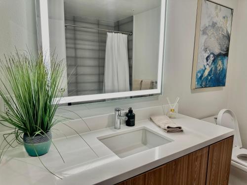 Gallery image of Cozy apartment in Hollywood in Los Angeles