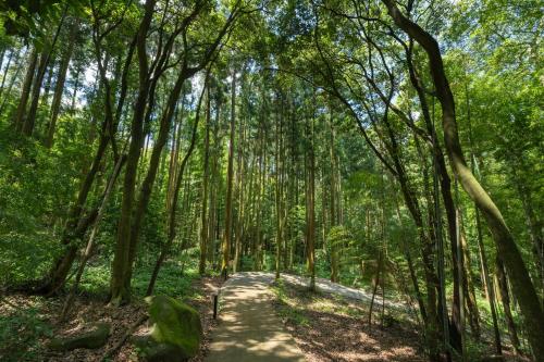 旅館の近くで見られる自然の景観