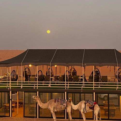 two camels standing in front of a building at Oman desert private camp in Shāhiq