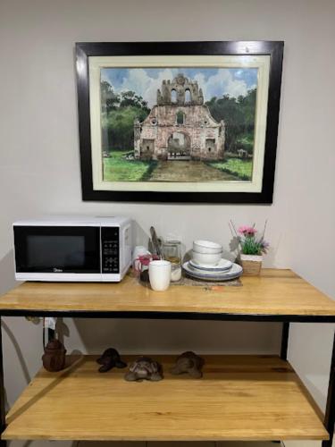 a microwave on a shelf with a picture of a house at Rivera Family Airport Apartments in Santiago Este