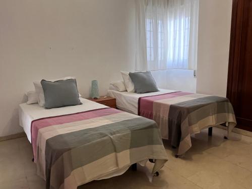 Perla en el Corazón de Málaga